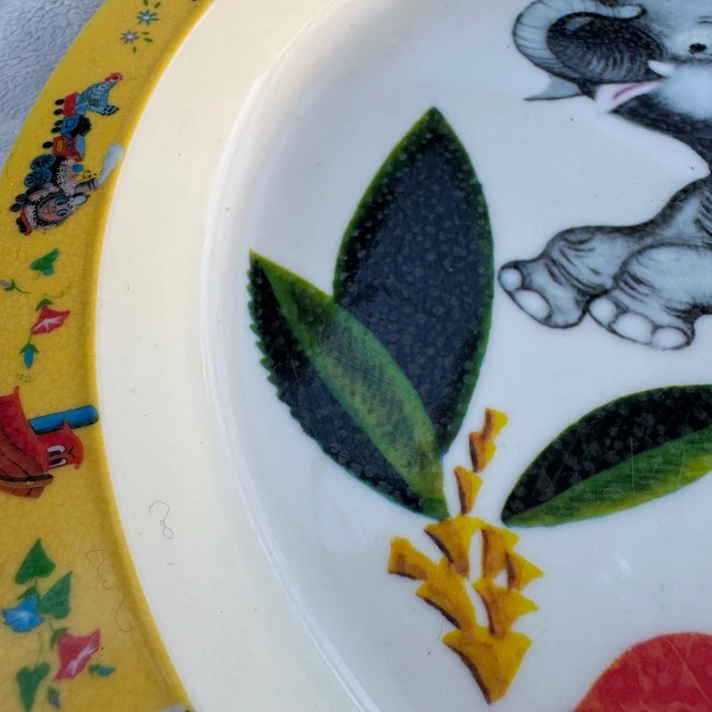 World Market Melamine Plates 9